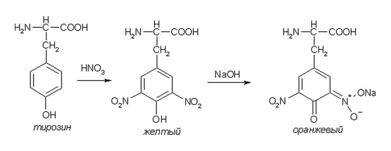 Ксантопротеиновая реакция